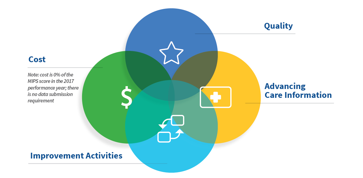 MIPS Pillars Diagram